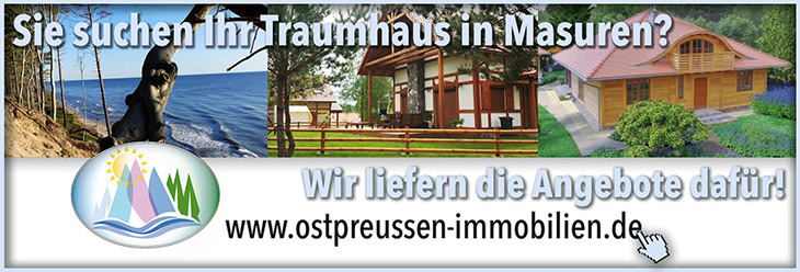 Immobilien widget