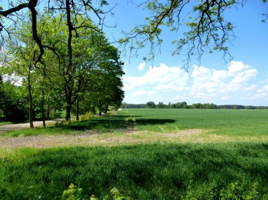 Malerische Landschaften und eindrucksvolle Natur: Wandern in Ostpreußen thumbnail