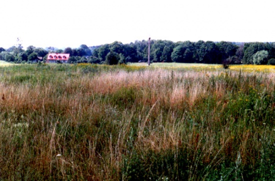 Bittehnen – ein Dorf an der Memel thumbnail