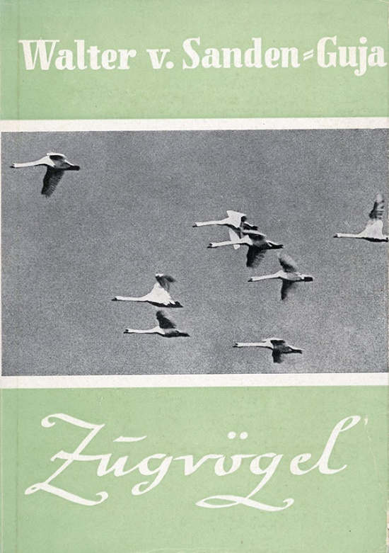 Zugvögel  Ein Bericht über die Flucht aus Ostpreußen 1945 thumbnail