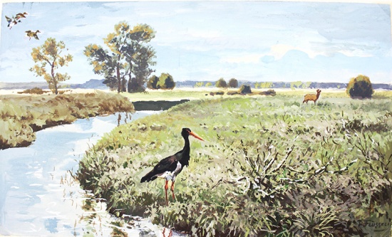 Öffentliche Sonntagsführung: Natur und Jagd  nicht nur in Ostpreußen thumbnail