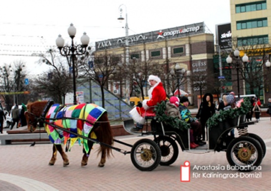 Weihnachtsfeierlichkeiten in Kaliningrad thumbnail