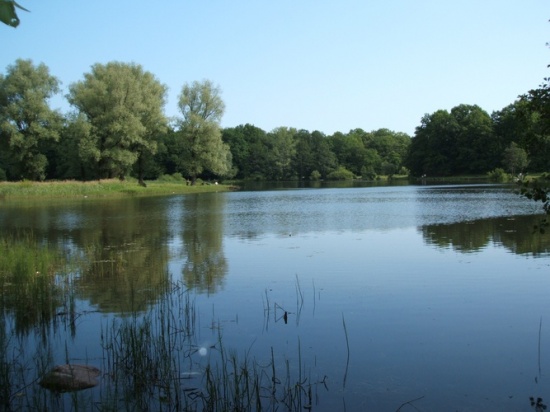 Der Max-Aschmann-Park wird wiederhergestellt thumbnail